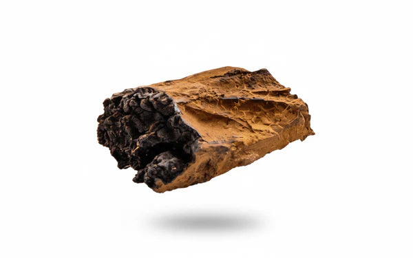 5-HTP (Griffonia simplicifolia)